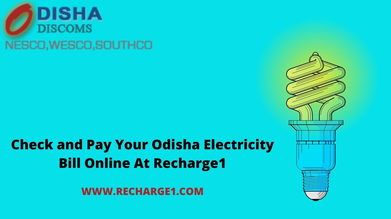  Check and Pay Your Odisha Electricity Bill Online At Recharge1