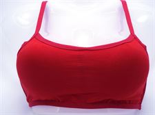 Sports Bra Paded for Women Adjustable (Universal)