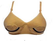 Regular use Paded Bra for Women